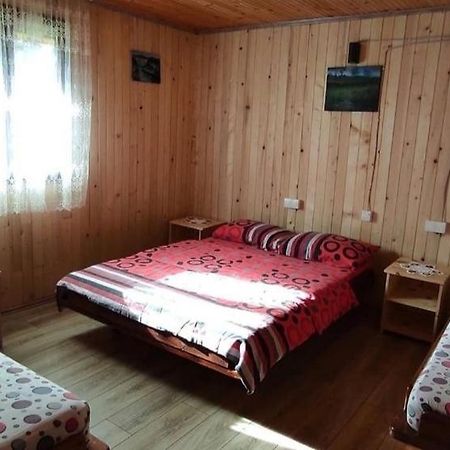 Kanjon Uvac Sjenica Luaran gambar