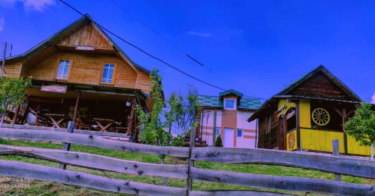 Kanjon Uvac Sjenica Luaran gambar